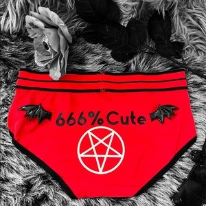 NWT 🦇Custom made Dandie Pandies, underwear size M❤️